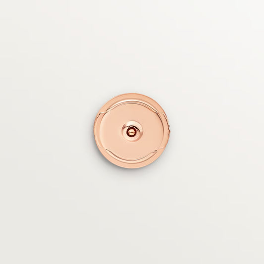 Cartier LOVE stud earrings 2025