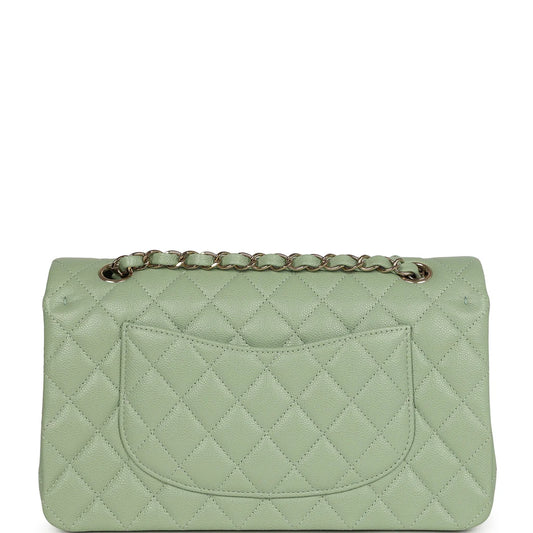 Chanel Medium Classic Double Flap Bag Light Green Caviar Light Gold Hardware