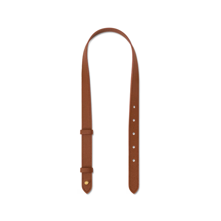 Louis Vuitton Alma BB (2025)