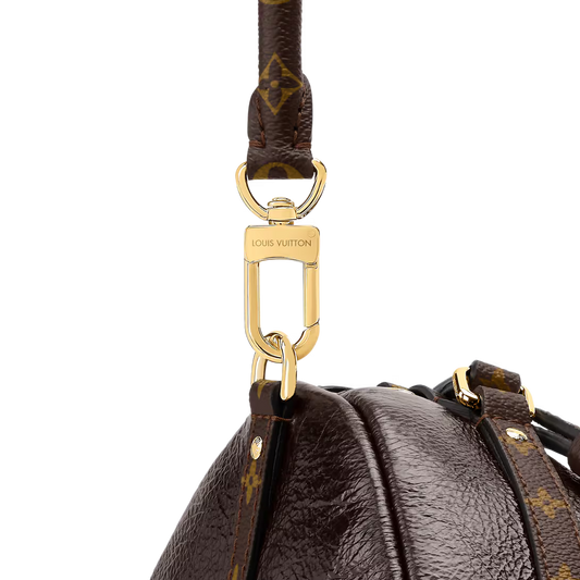 Louis Vuitton Express MM (2025)