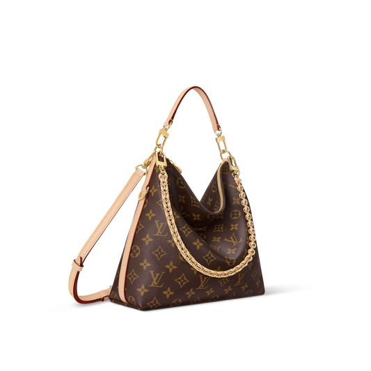Louis Vuitton Multipass Bag (2025)
