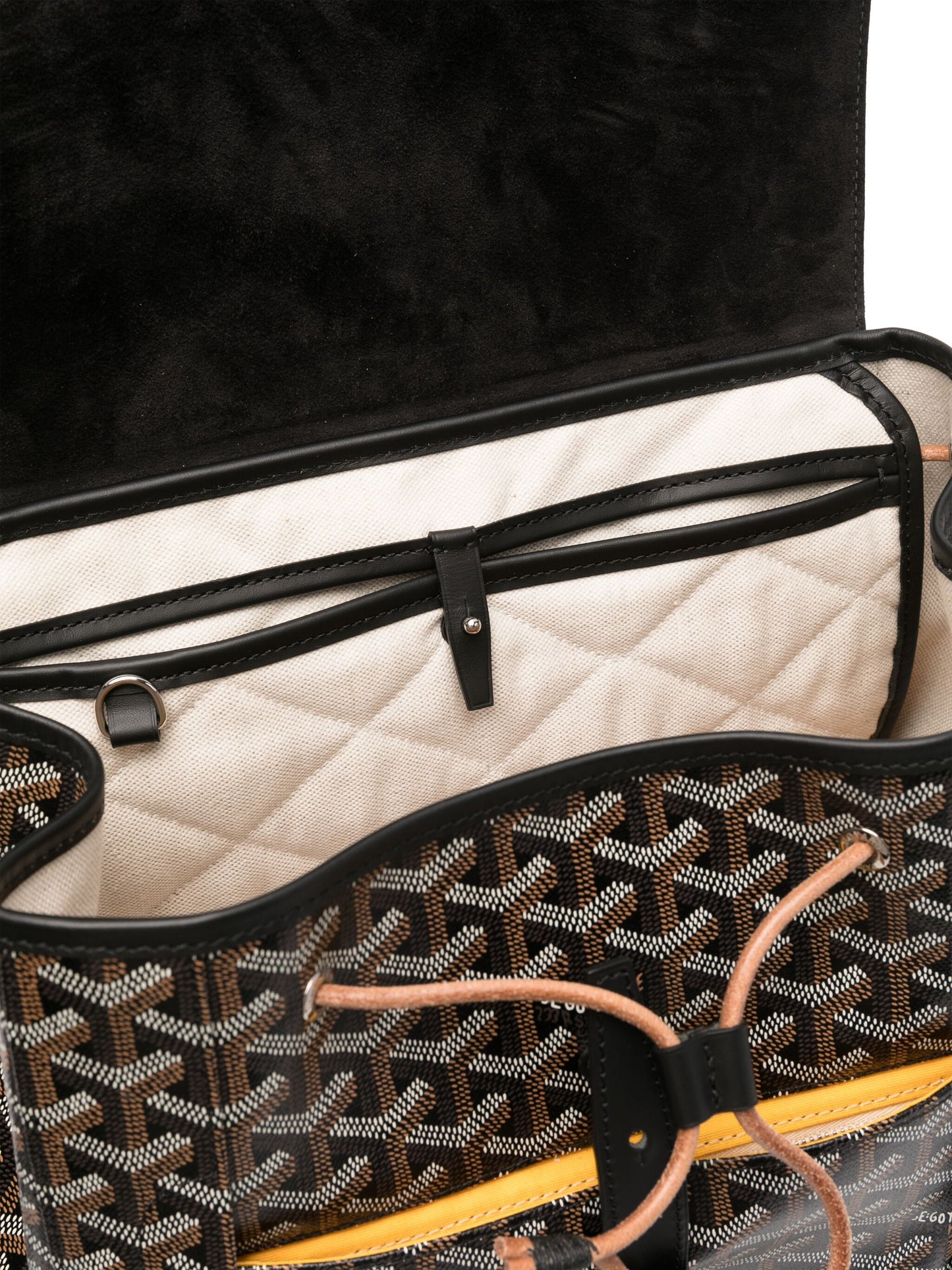 GOYARD Alpin MM backpack (2020)