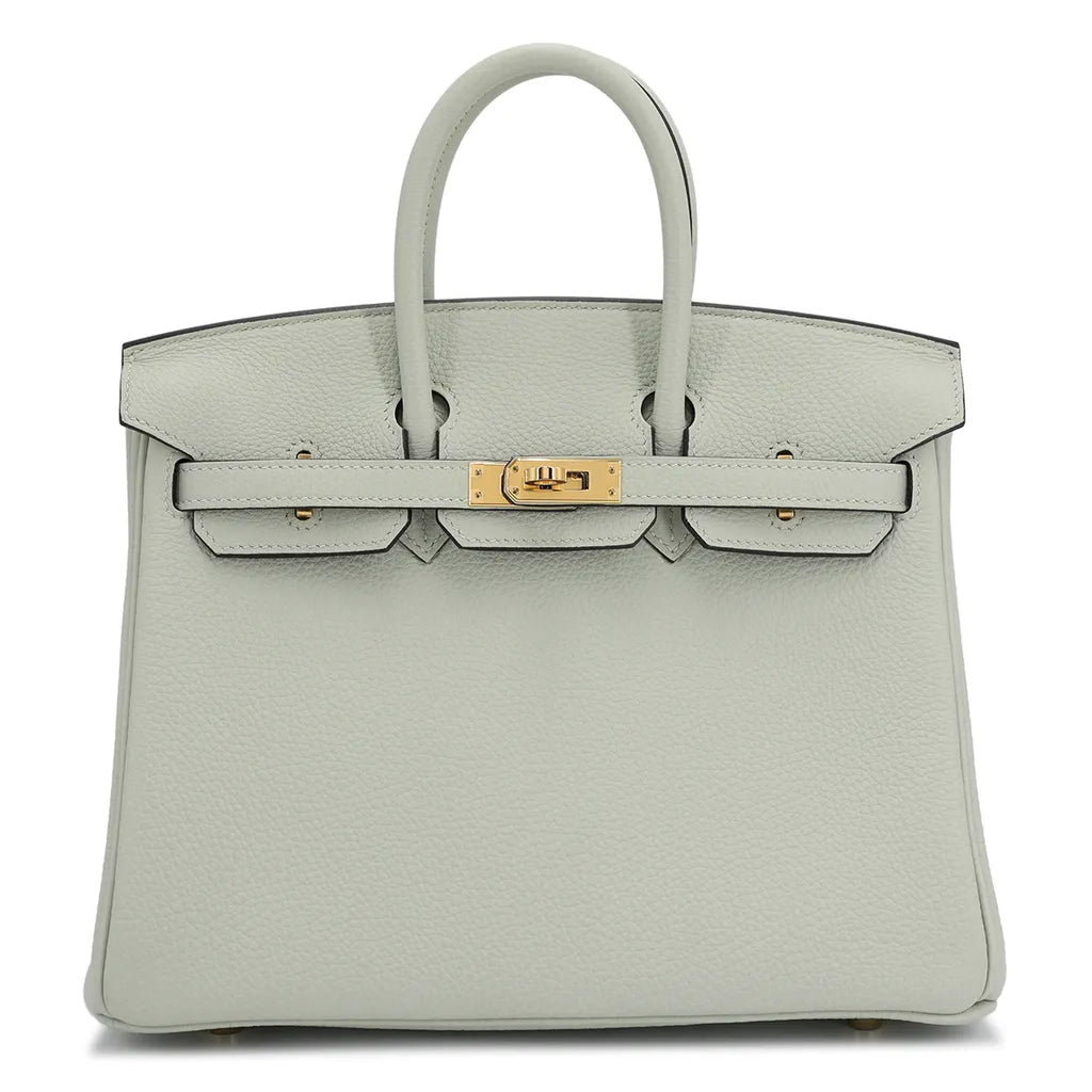 HERMÈS Birkin 25 handbag (2023)
