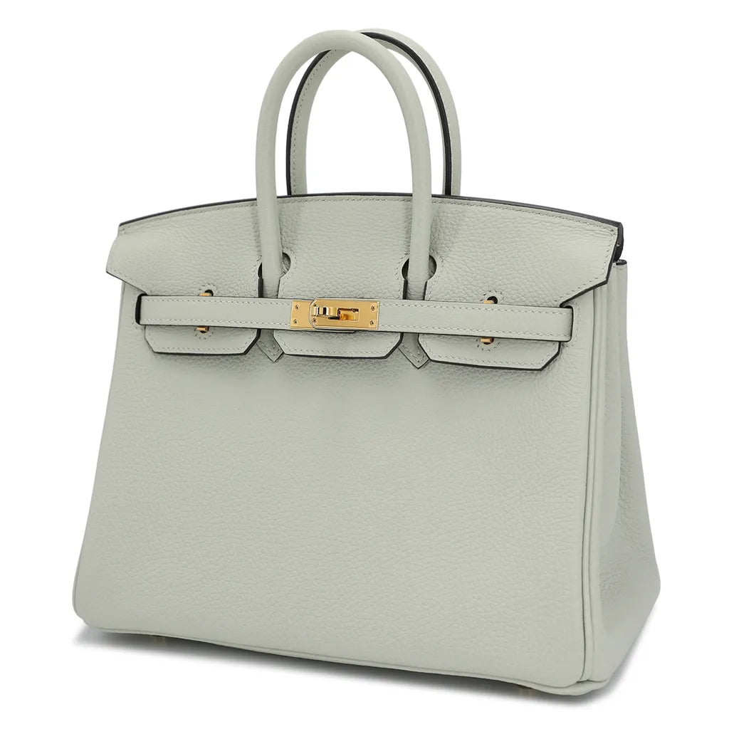 HERMÈS Birkin 25 handbag (2023)