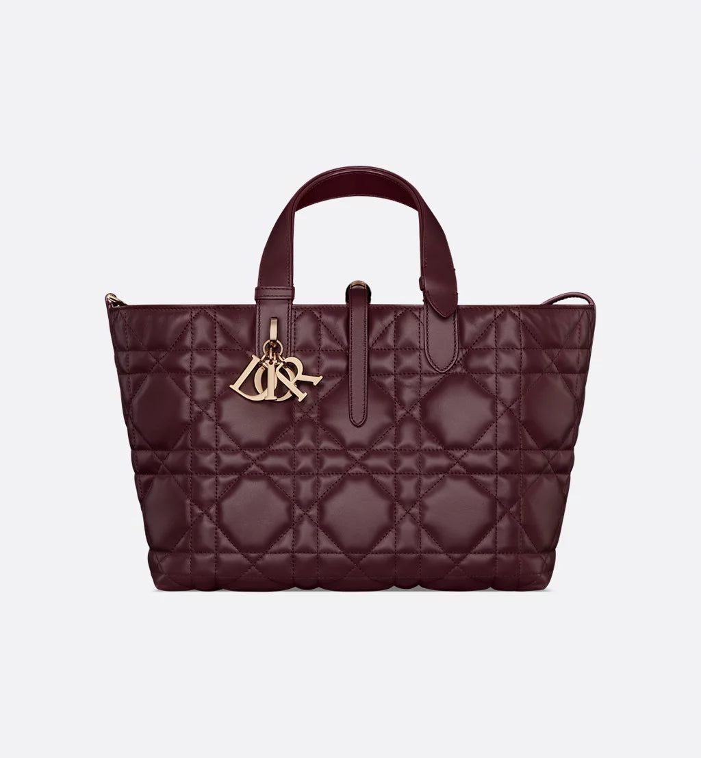 Medium Dior Toujours Bag 2025