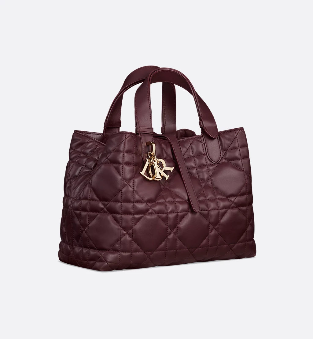 Medium Dior Toujours Bag 2025