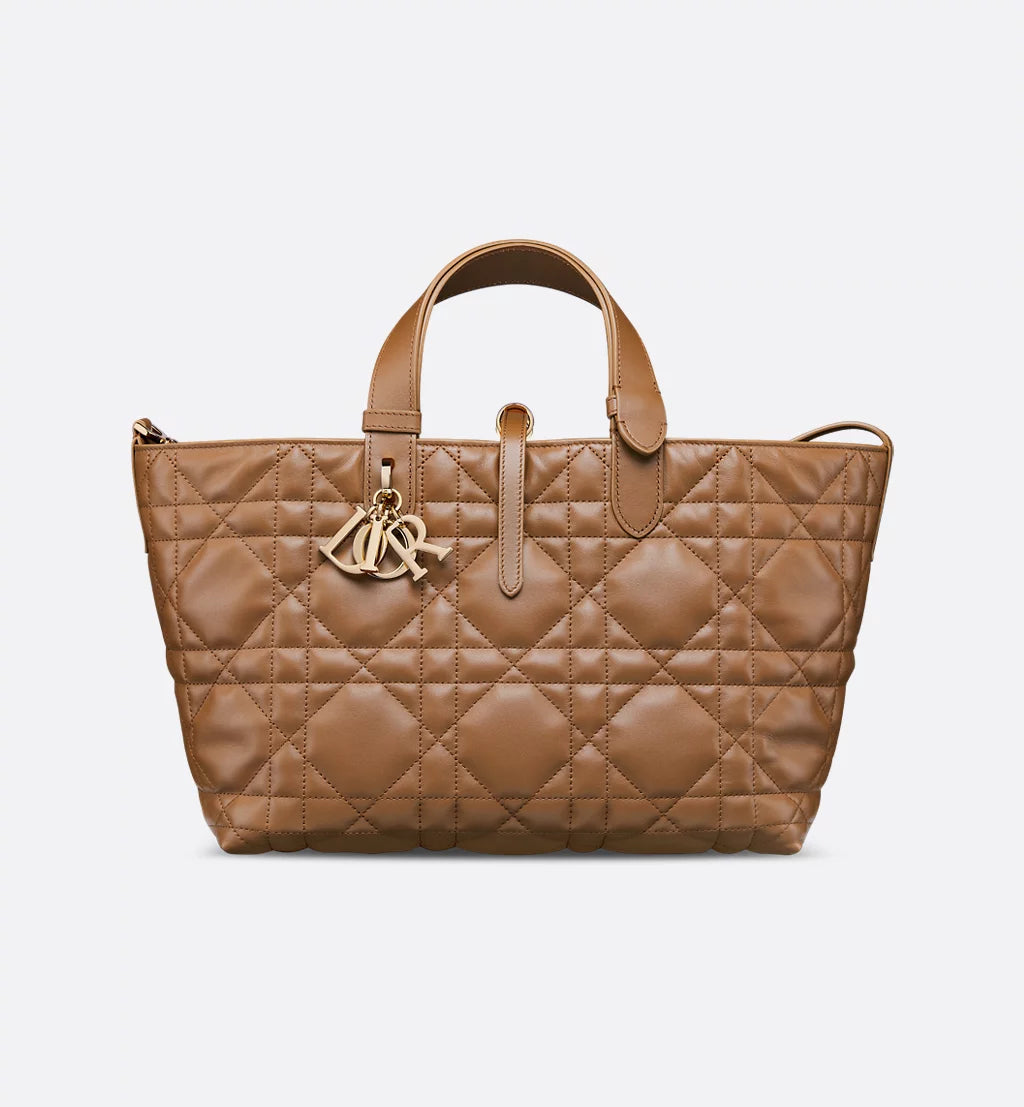 Medium Dior Toujours Bag 2025