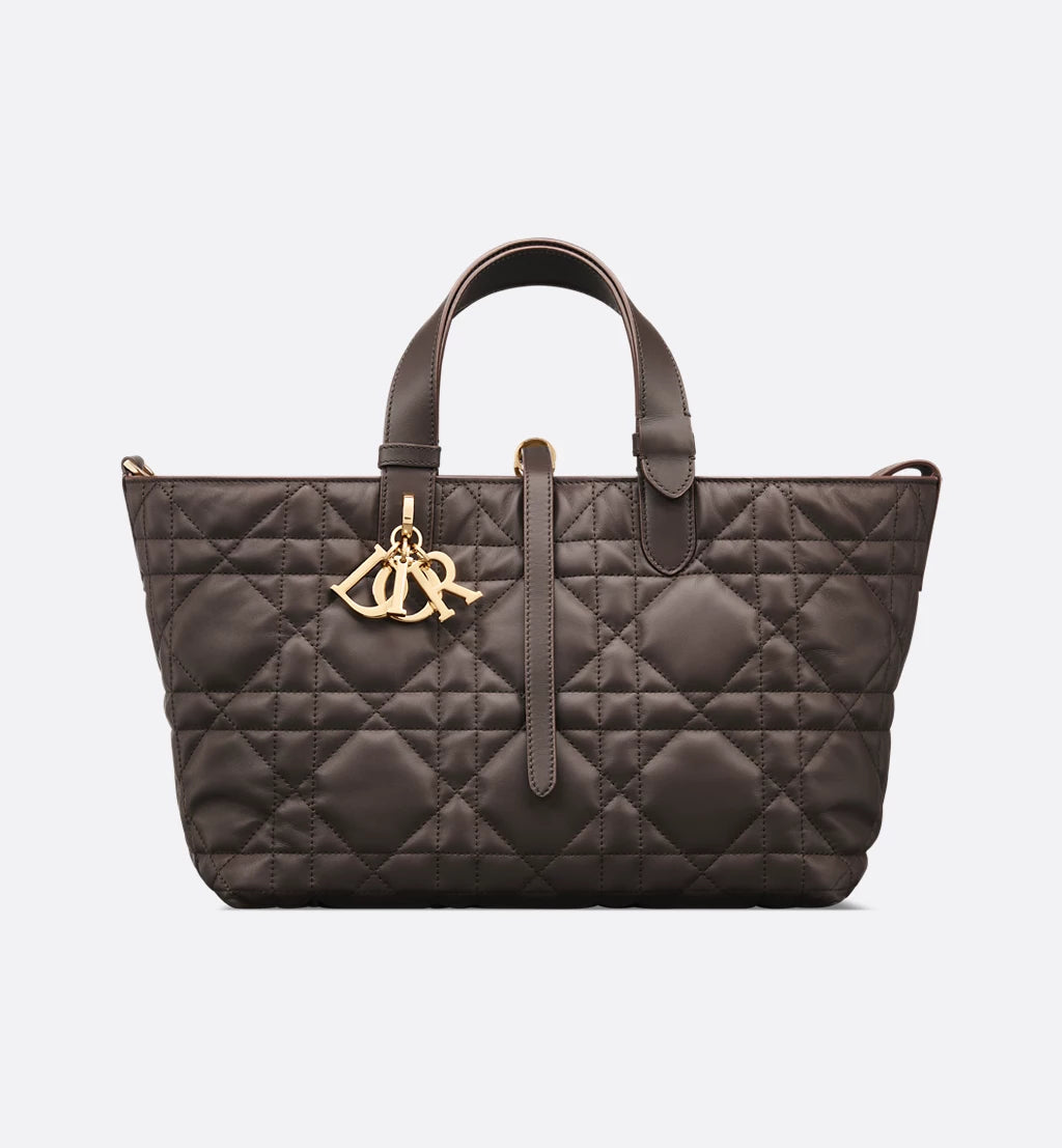 Medium Dior Toujours Bag 2025