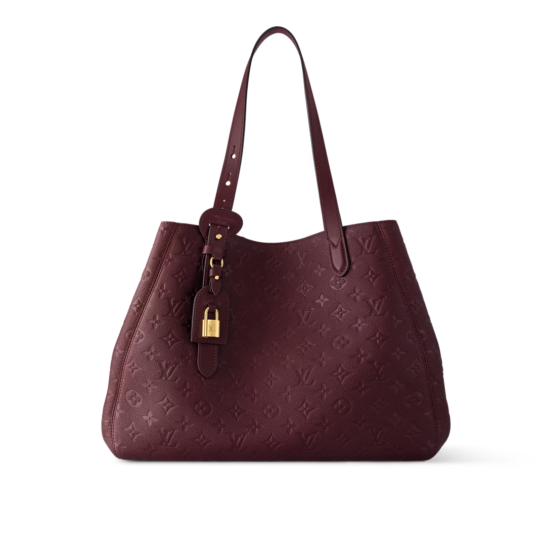 Louis Vuitton All In One MM (2025)