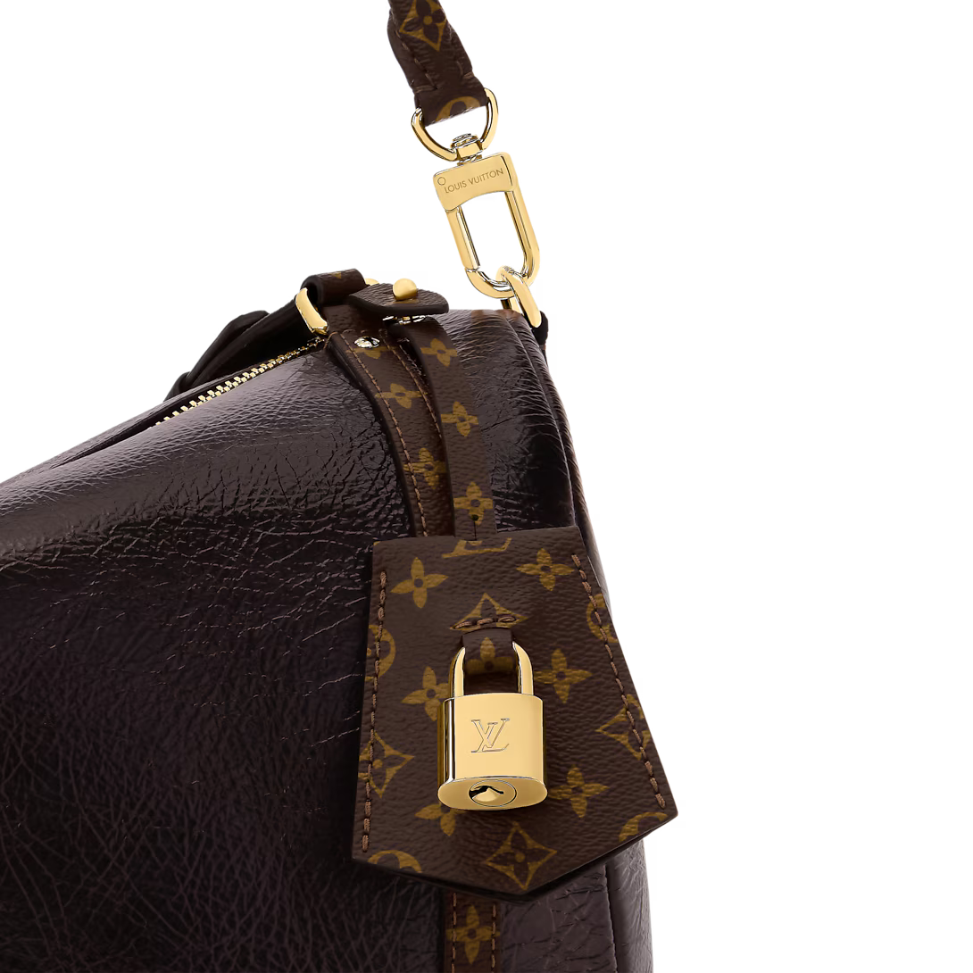 Louis Vuitton Express MM (2025)