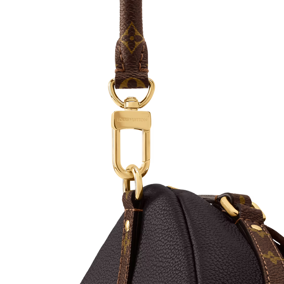 Louis Vuitton Express MM (2025)