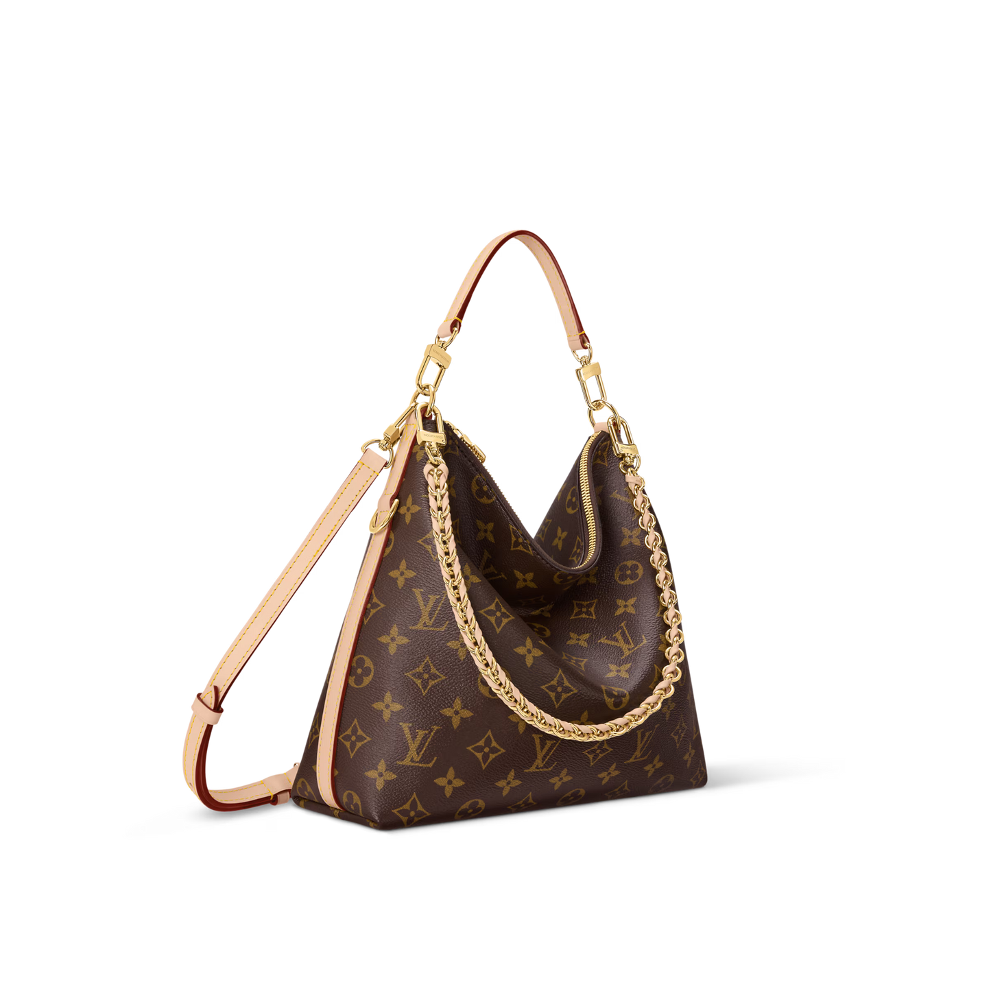 Louis Vuitton Multipass Bag (2025)