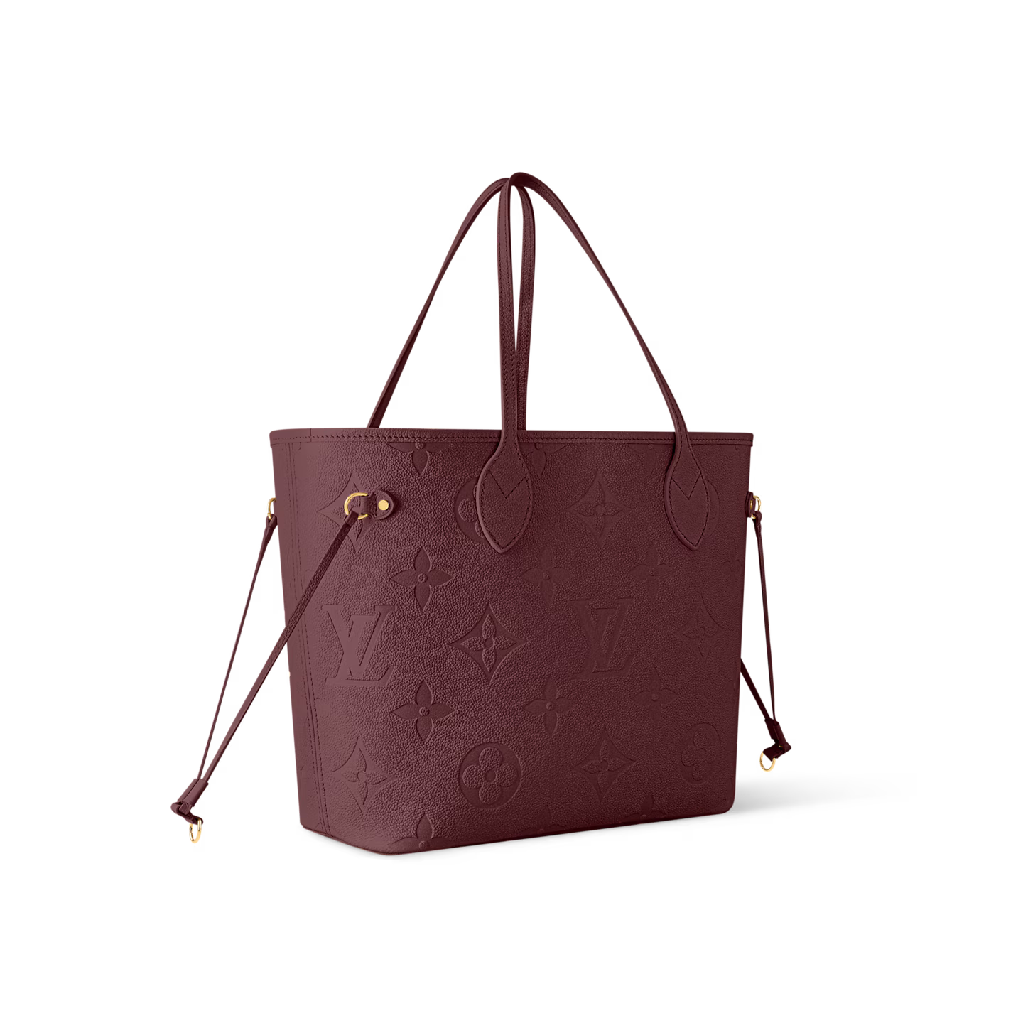 Louis Vuitton Neverfull MM Tote Bag (2025)