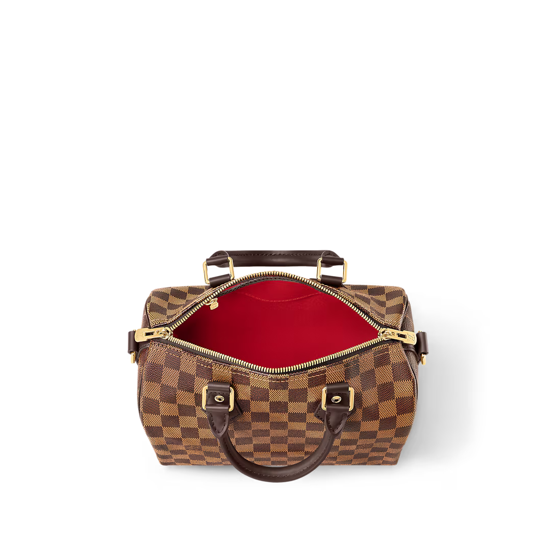 Louis Vuitton Speedy Bandoulière 25 (2025)